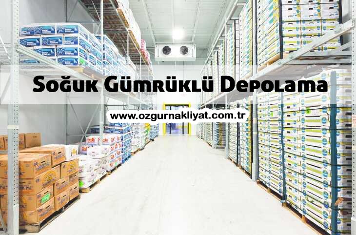 Soğuk Gümrüklü Depolama