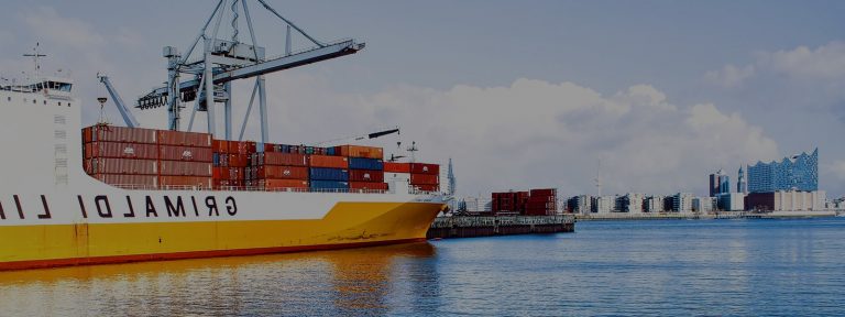 Denizyolu Taşımacılık Hizmeti 2023