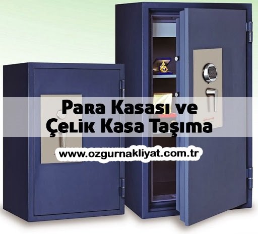 Para Kasası ve Çelik Kasa Taşıma