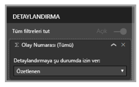 detaylandirma